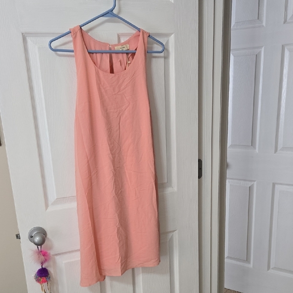 entro | Dresses | Nwt Entro Pale Pink Swing Dress With Ruffled Back ...
